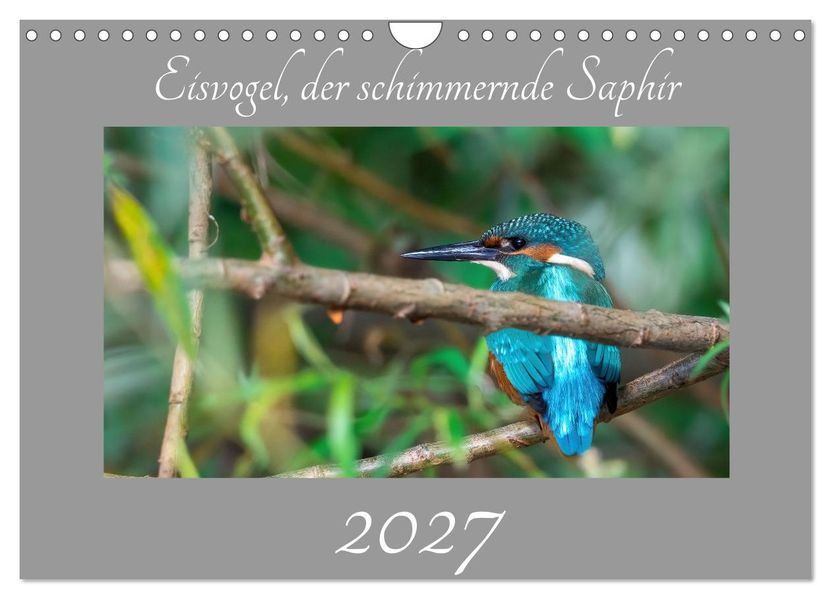 Eisvogel der schimmernde Saphir (Wandkalender 2027 DIN A4 quer) CALVENDO Monatskalender