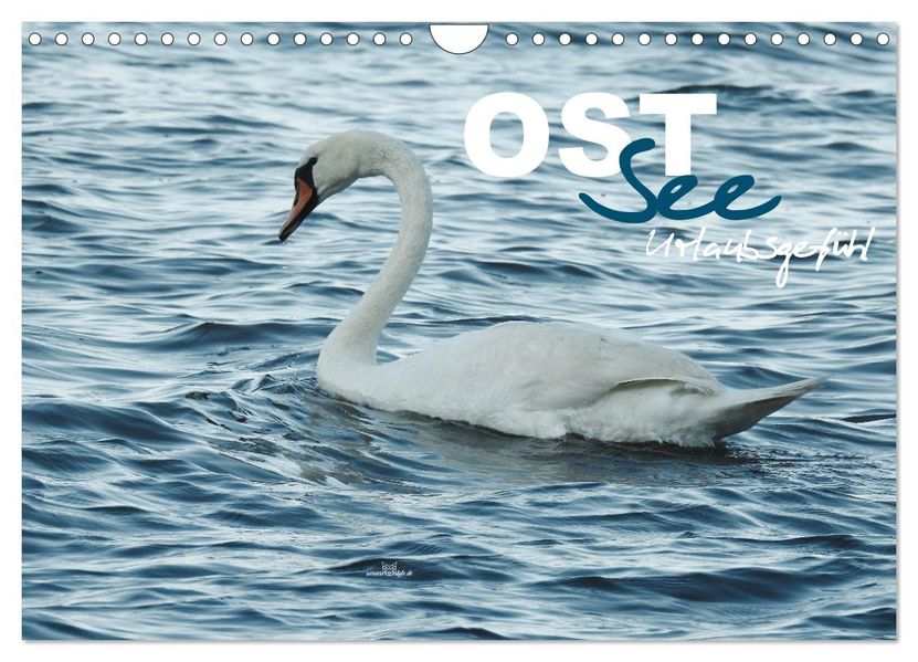 Ostsee - Urlaubsgefühl (Wandkalender 2027 DIN A4 quer) CALVENDO Monatskalender