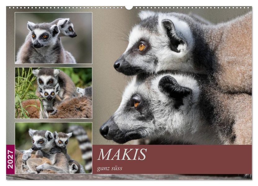 Makis ganz süss (Wandkalender 2027 DIN A2 quer) CALVENDO Monatskalender