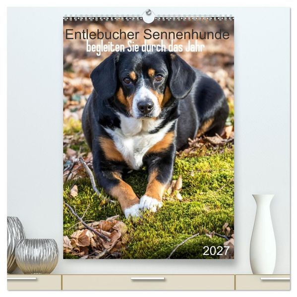 Entlebucher Sennenhunde begleiten Sie durch das Jahr (hochwertiger Premium Wandkalender 2027 DIN A2 hoch) Kunstdruck in Hochglanz