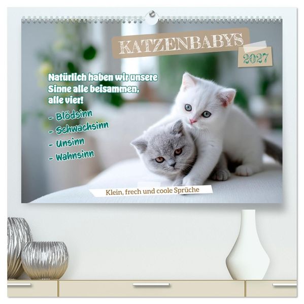 Katzenbabys - Klein frech und coole Sprüche (hochwertiger Premium Wandkalender 2027 DIN A2 quer) Kunstdruck in Hochglanz
