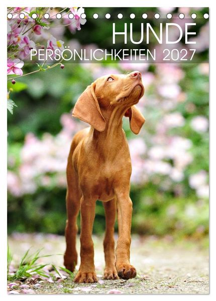 Hundepersönlichkeiten (Tischkalender 2027 DIN A5 hoch) CALVENDO Monatskalender