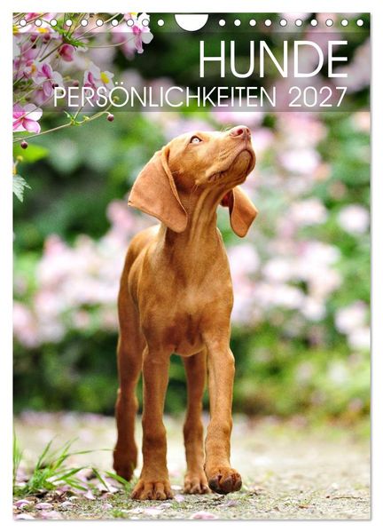 Hundepersönlichkeiten (Wandkalender 2027 DIN A4 hoch) CALVENDO Monatskalender