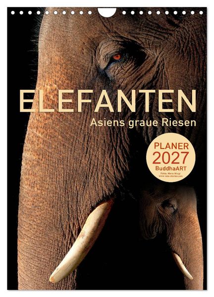 ELEFANTEN - Asiens graue Riesen (Wandkalender 2027 DIN A4 hoch) CALVENDO Monatskalender