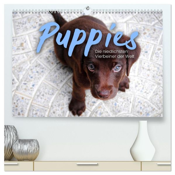 Puppies - Die niedlichsten Vierbeiner der Welt. (hochwertiger Premium Wandkalender 2027 DIN A2 quer) Kunstdruck in Hochglanz