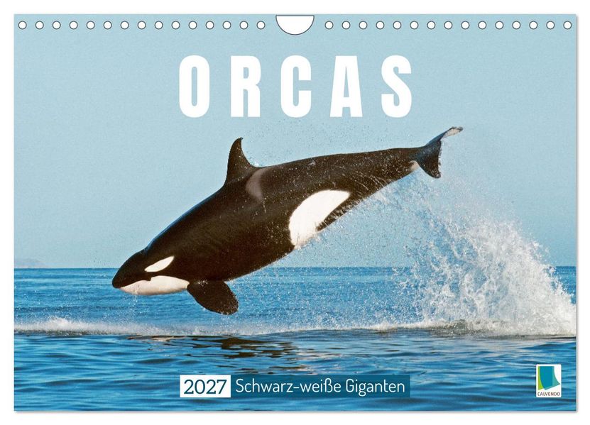 Orcas: Schwarz-weiße Giganten (Wandkalender 2027 DIN A4 quer) CALVENDO Monatskalender