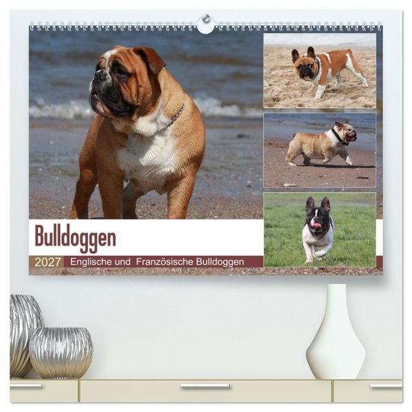 Bulldoggen - Englische und Französische Bulldoggen (hochwertiger Premium Wandkalender 2027 DIN A2 quer) Kunstdruck in Hochglanz