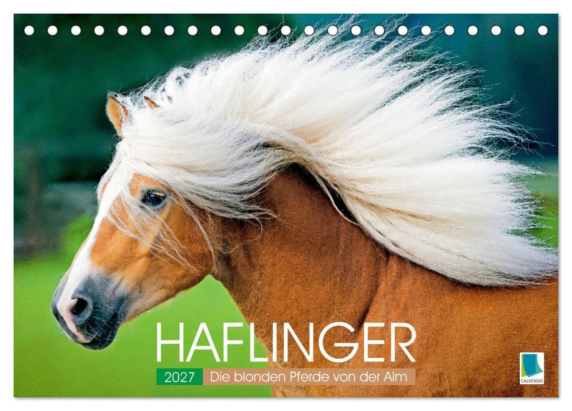 Haflinger: Die blonden Pferde von der Alm (Tischkalender 2027 DIN A5 quer) CALVENDO Monatskalender