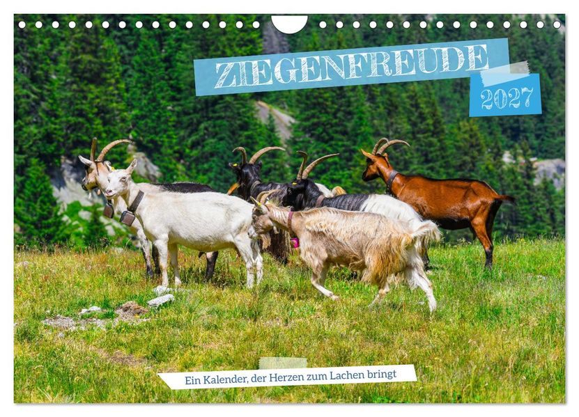Ziegenfreude (Wandkalender 2027 DIN A4 quer) CALVENDO Monatskalender
