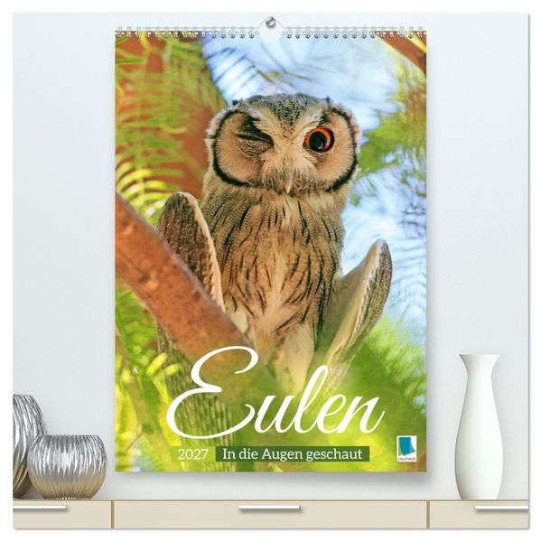 Eulen: In die Augen geschaut (hochwertiger Premium Wandkalender 2027 DIN A2 hoch) Kunstdruck in Hochglanz