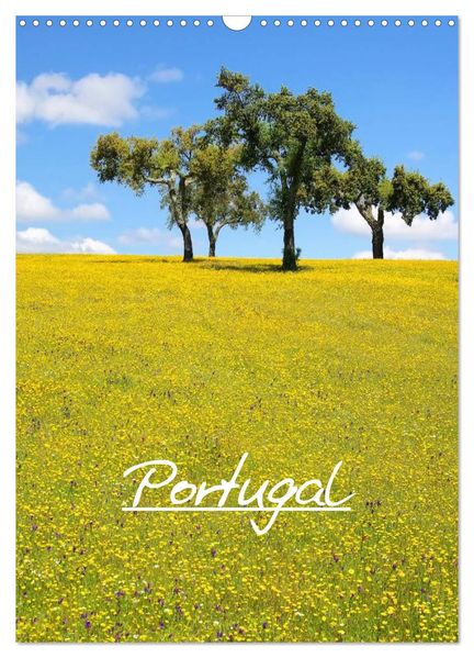 Portugal (Wandkalender 2027 DIN A3 hoch) CALVENDO Monatskalender