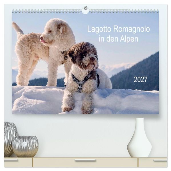 Lagotto Romagnolo in den Alpen 2027 (hochwertiger Premium Wandkalender 2027 DIN A2 quer) Kunstdruck in Hochglanz