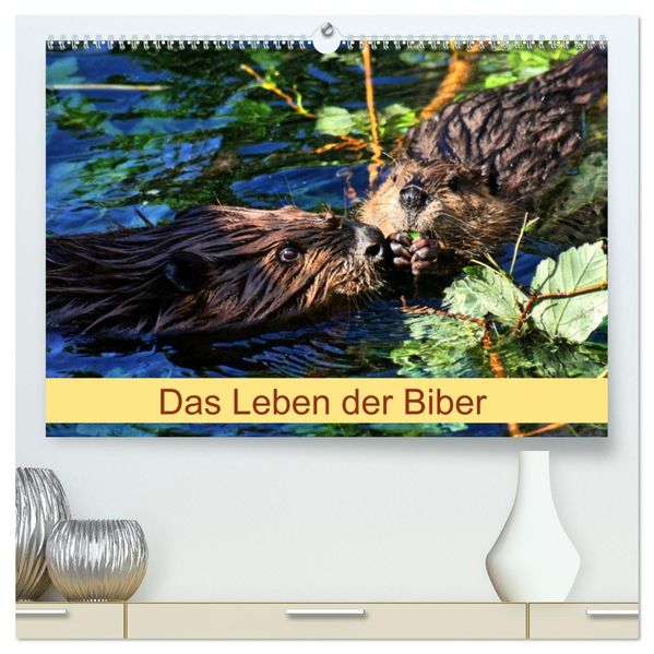Das Leben der Biber (hochwertiger Premium Wandkalender 2027 DIN A2 quer) Kunstdruck in Hochglanz