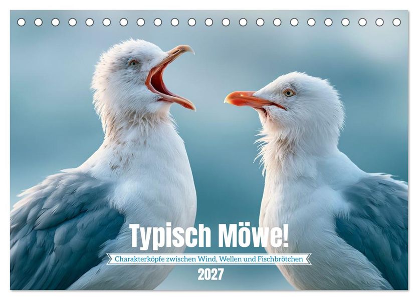 Typisch Möwe! (Tischkalender 2027 DIN A5 quer) CALVENDO Monatskalender