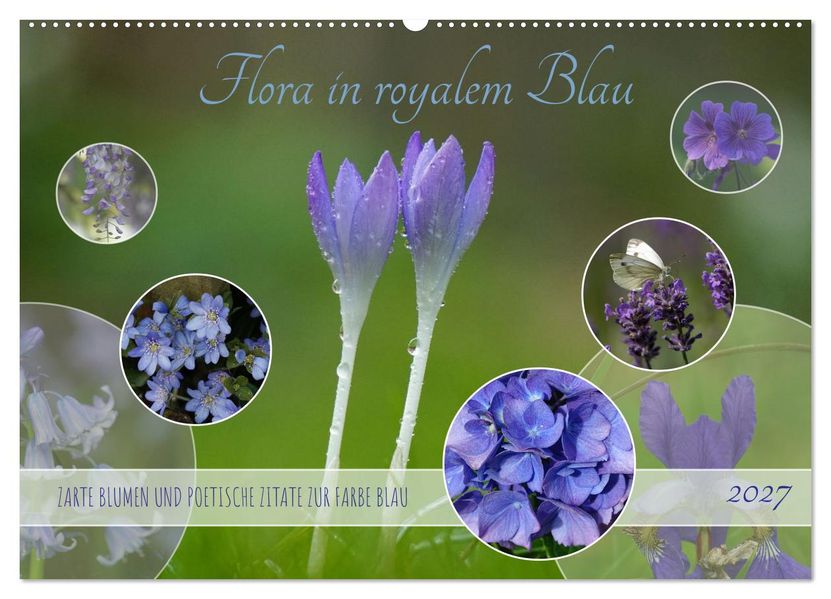 Flora in royalem Blau (Wandkalender 2027 DIN A2 quer) CALVENDO Monatskalender