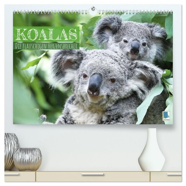 Koalas: die flauschigen Herzensbrecher (hochwertiger Premium Wandkalender 2027 DIN A2 quer) Kunstdruck in Hochglanz