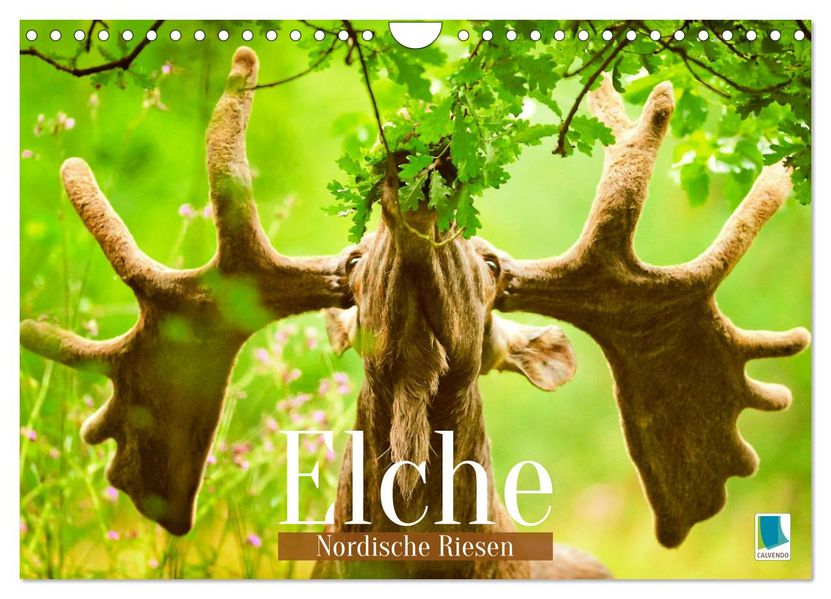 Elche: Nordische Riesen (Wandkalender 2027 DIN A4 quer) CALVENDO Monatskalender