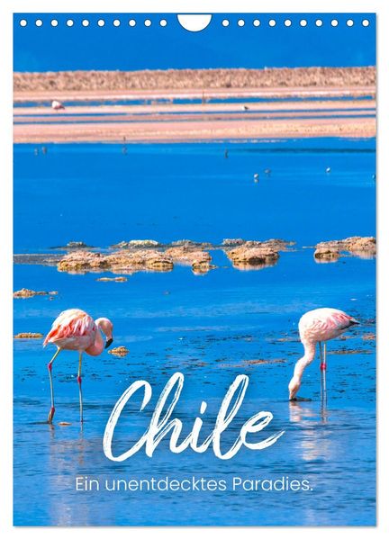 Chile - Ein unentdecktes Paradies. (Wandkalender 2027 DIN A4 hoch) CALVENDO Monatskalender