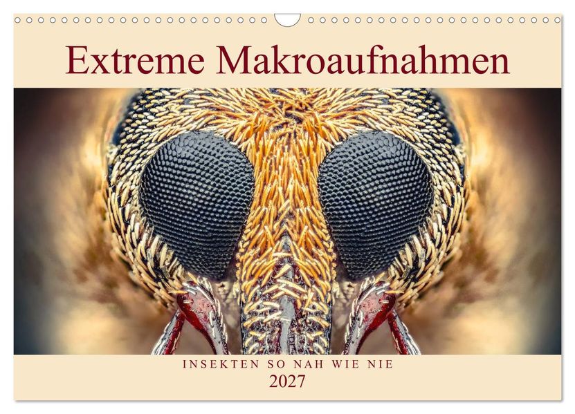 Extreme Makroaufnahmen - Insekten so nah wie nie (Wandkalender 2027 DIN A3 quer) CALVENDO Monatskalender