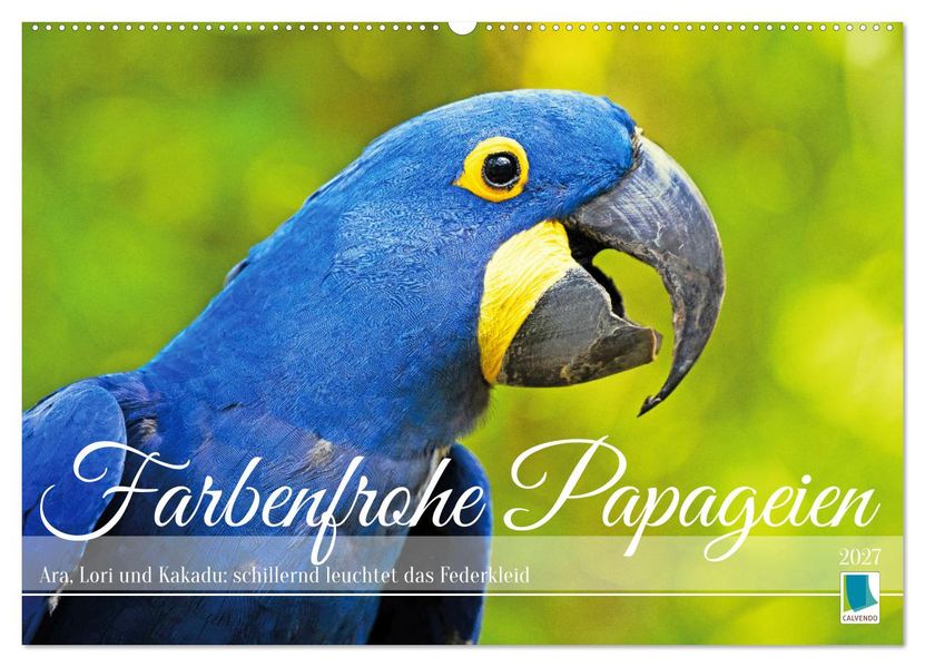 Farbenfrohe Papageien (Wandkalender 2027 DIN A2 quer) CALVENDO Monatskalender