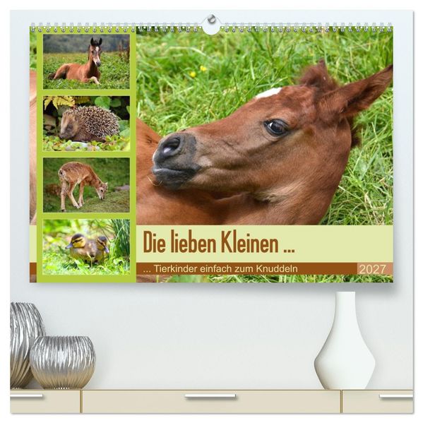 Die lieben Kleinen... Tierkinder einfach zum Knuddeln (hochwertiger Premium Wandkalender 2027 DIN A2 quer) Kunstdruck in Hochglanz