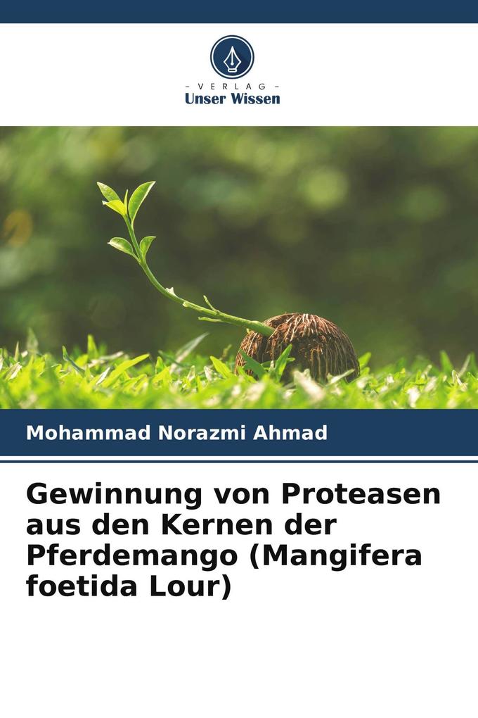 Gewinnung von Proteasen aus den Kernen der Pferdemango (Mangifera foetida Lour)