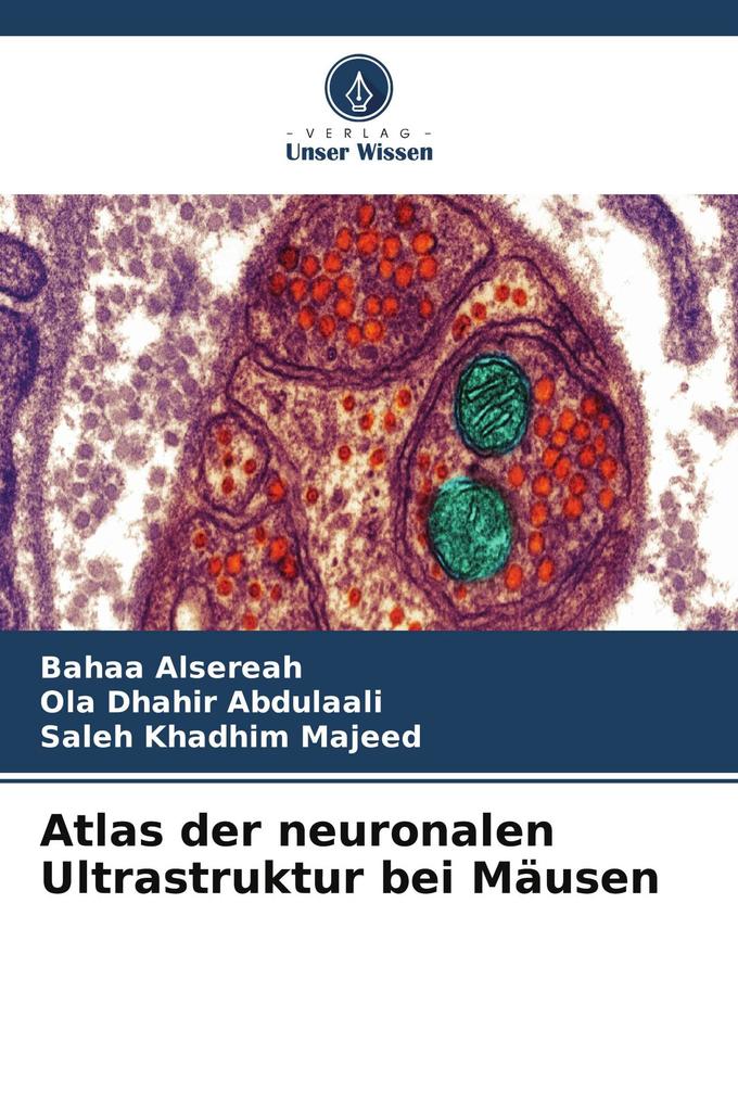Atlas der neuronalen Ultrastruktur bei Mäusen