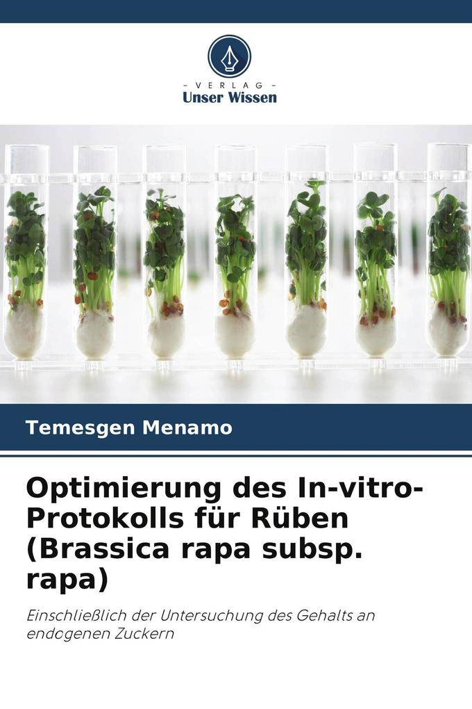 Optimierung des In-vitro-Protokolls für Rüben (Brassica rapa subsp. rapa)