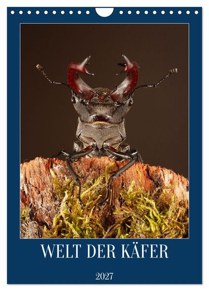 Welt der Käfer (Wandkalender 2027 DIN A4 hoch) CALVENDO Monatskalender