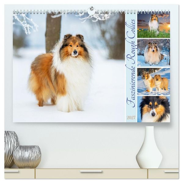 Faszinierende Rough Collies (hochwertiger Premium Wandkalender 2027 DIN A2 quer) Kunstdruck in Hochglanz