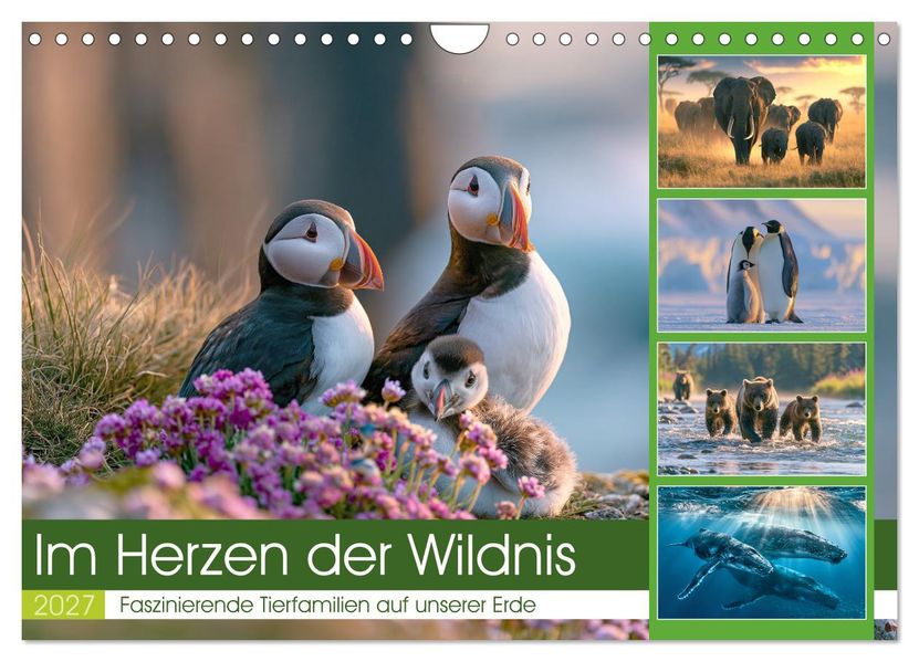 Im Herzen der Wildnis (Wandkalender 2027 DIN A4 quer) CALVENDO Monatskalender