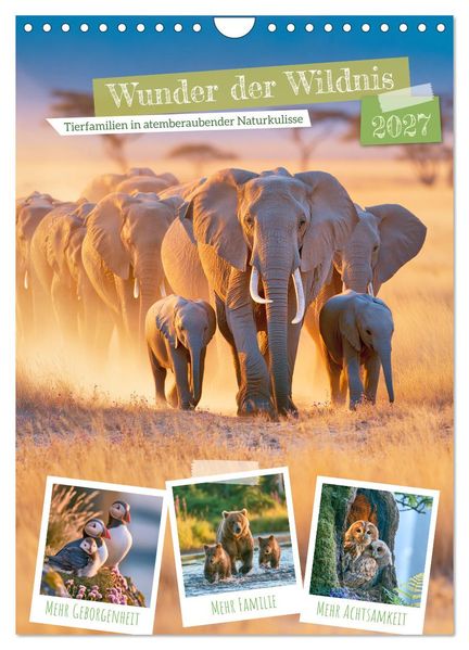 Wunder der Wildnis (Wandkalender 2027 DIN A4 hoch) CALVENDO Monatskalender