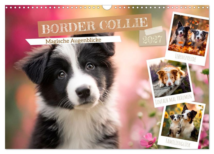 Border Collie - Magische Augenblicke (Wandkalender 2027 DIN A3 quer) CALVENDO Monatskalender