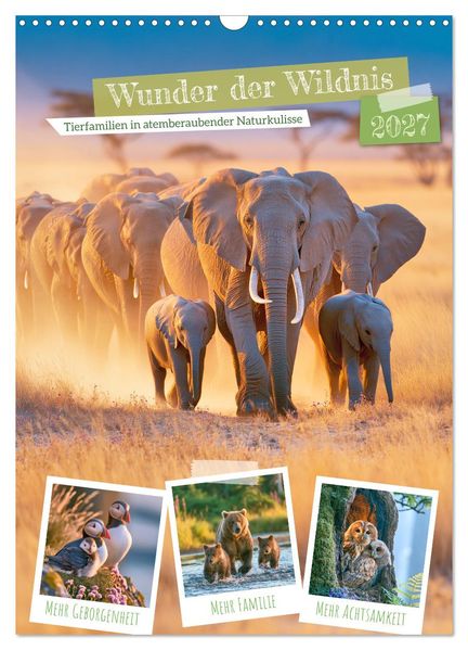 Wunder der Wildnis (Wandkalender 2027 DIN A3 hoch) CALVENDO Monatskalender