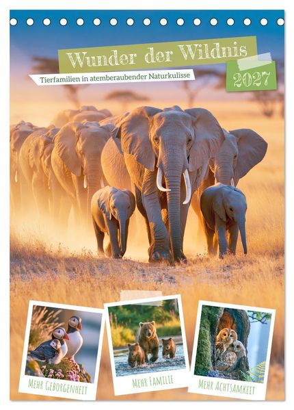 Wunder der Wildnis (Tischkalender 2027 DIN A5 hoch) CALVENDO Monatskalender