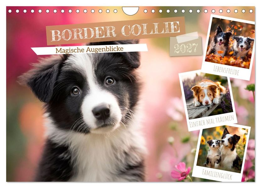 Border Collie - Magische Augenblicke (Wandkalender 2027 DIN A4 quer) CALVENDO Monatskalender