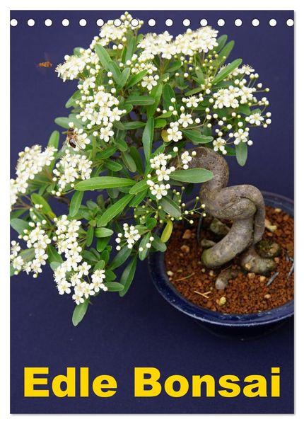 Edle Bonsai (Tischkalender 2027 DIN A5 hoch) CALVENDO Monatskalender