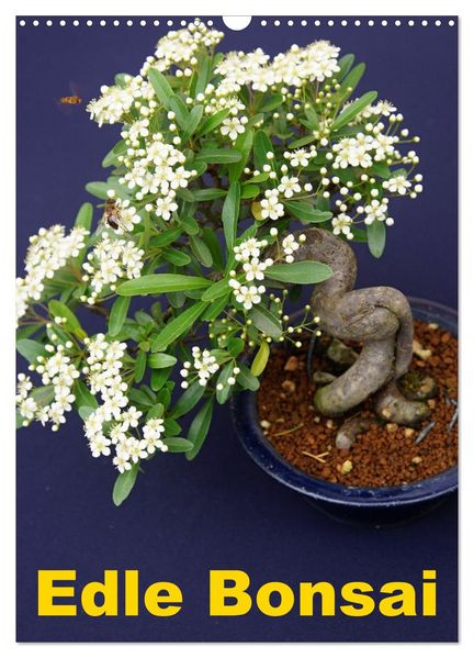 Edle Bonsai (Wandkalender 2027 DIN A3 hoch) CALVENDO Monatskalender