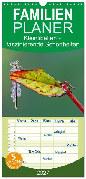 Familienplaner 2027 - Kleinlibellen - faszinierende Schönheiten mit 5 Spalten (Wandkalender 21 x 45 cm) CALVENDO