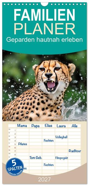 Familienplaner 2027 - Geparden hautnah erleben mit 5 Spalten (Wandkalender 21 x 45 cm) CALVENDO