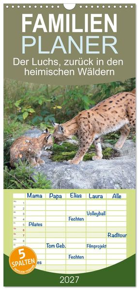 Familienplaner 2027 - Der Luchs zurück in den heimischen Wäldern mit 5 Spalten (Wandkalender 21 x 45 cm) CALVENDO