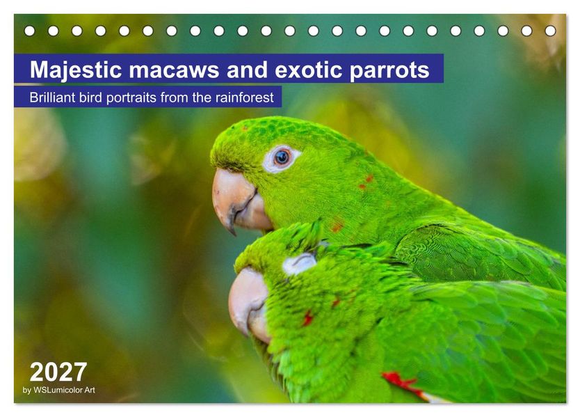 Macaws and colorful parakeets - Exotic parrot portraits (Desk Calendar 2027 DIN A5 landscape) CALVENDO 12 Month DeskCalendar