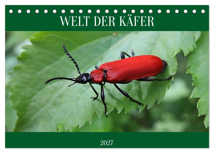WELT DER KÄFER (Tischkalender 2027 DIN A5 quer) CALVENDO Monatskalender