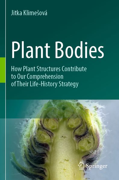 Plant Bodies