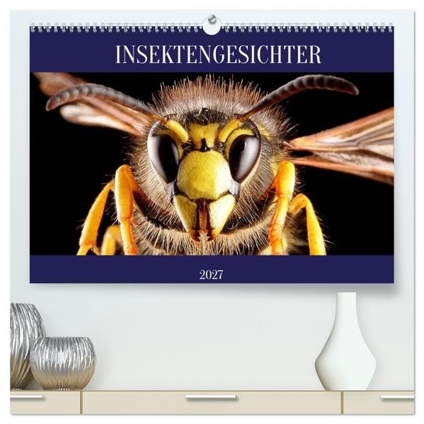 INSEKTENGESICHTER (hochwertiger Premium Wandkalender 2027 DIN A2 quer) Kunstdruck in Hochglanz