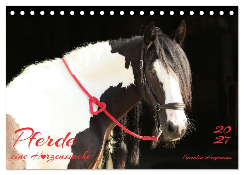 Pferde - eine Herzenssache (Tischkalender 2027 DIN A5 quer) CALVENDO Monatskalender