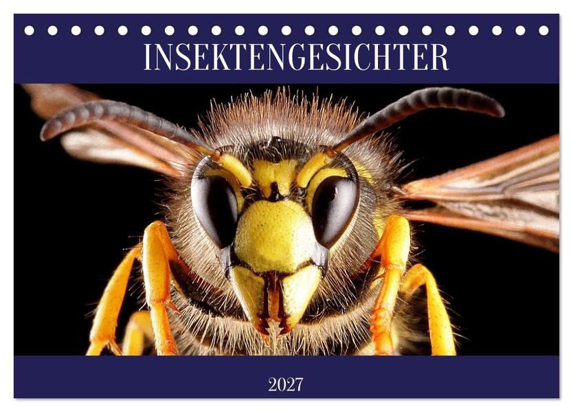 INSEKTENGESICHTER (Tischkalender 2027 DIN A5 quer) CALVENDO Monatskalender