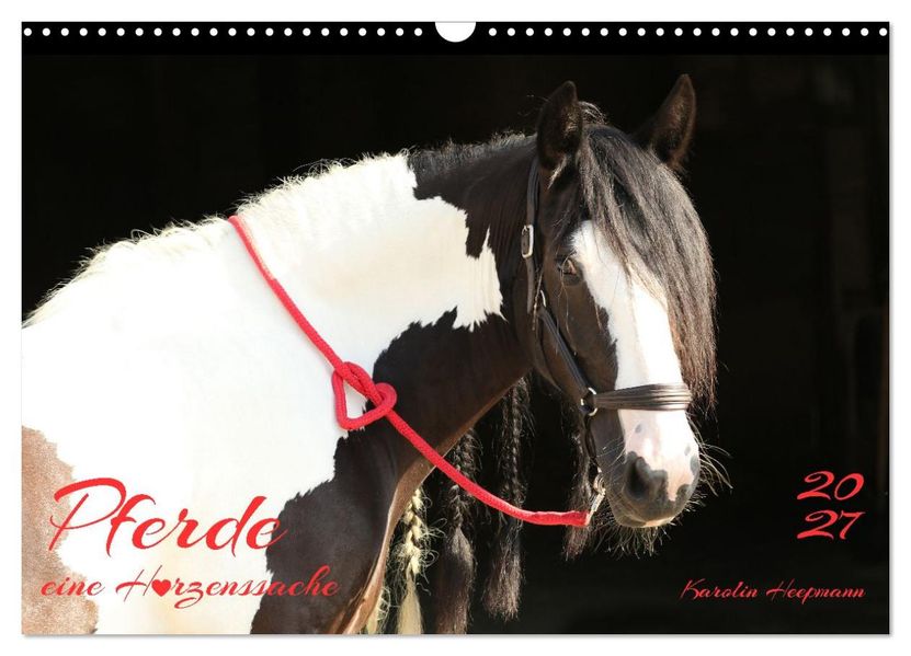 Pferde - eine Herzenssache (Wandkalender 2027 DIN A3 quer) CALVENDO Monatskalender