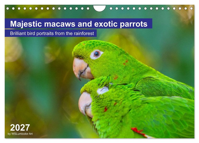 Macaws and colorful parakeets - Exotic parrot portraits (Wall Calendar 2027 DIN A4 landscape) CALVENDO 12 Month Wall Calendar
