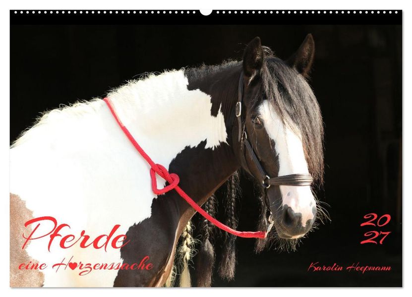 Pferde - eine Herzenssache (Wandkalender 2027 DIN A2 quer) CALVENDO Monatskalender